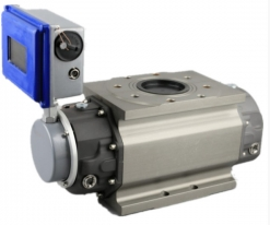 ZY-LLQ羅(luo)茨流量計