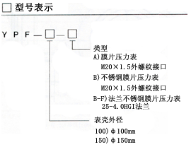 膜(mó)片壓力表型(xíng)号表示